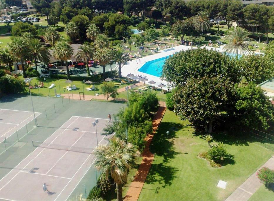 Apartamento Primera Linea Playa
