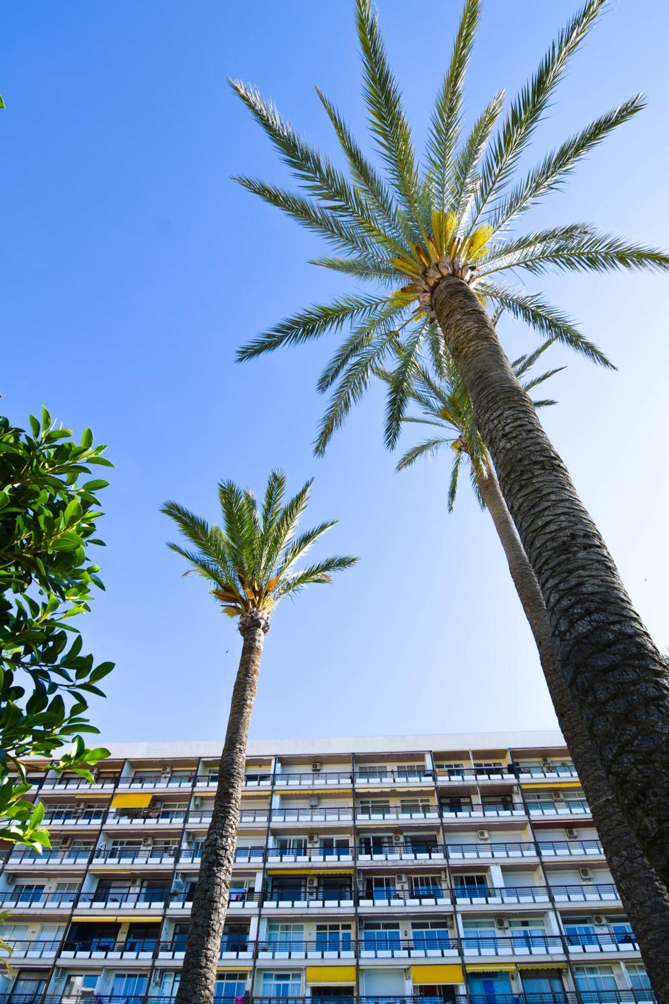 Letmalaga Santa Clara Apartamento