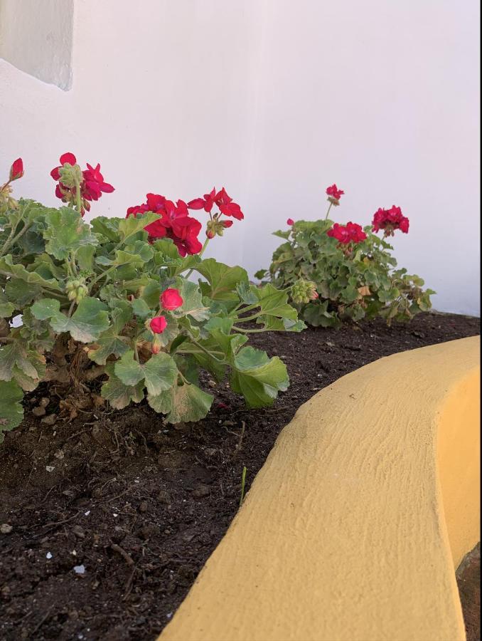 Novedad Centrico Con Porche Y Jardin Apartment Torremolinos