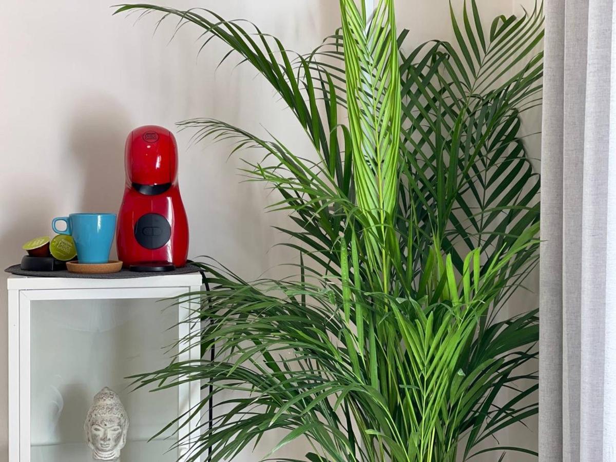 Apartamento Cozy Centr Torremolinos
