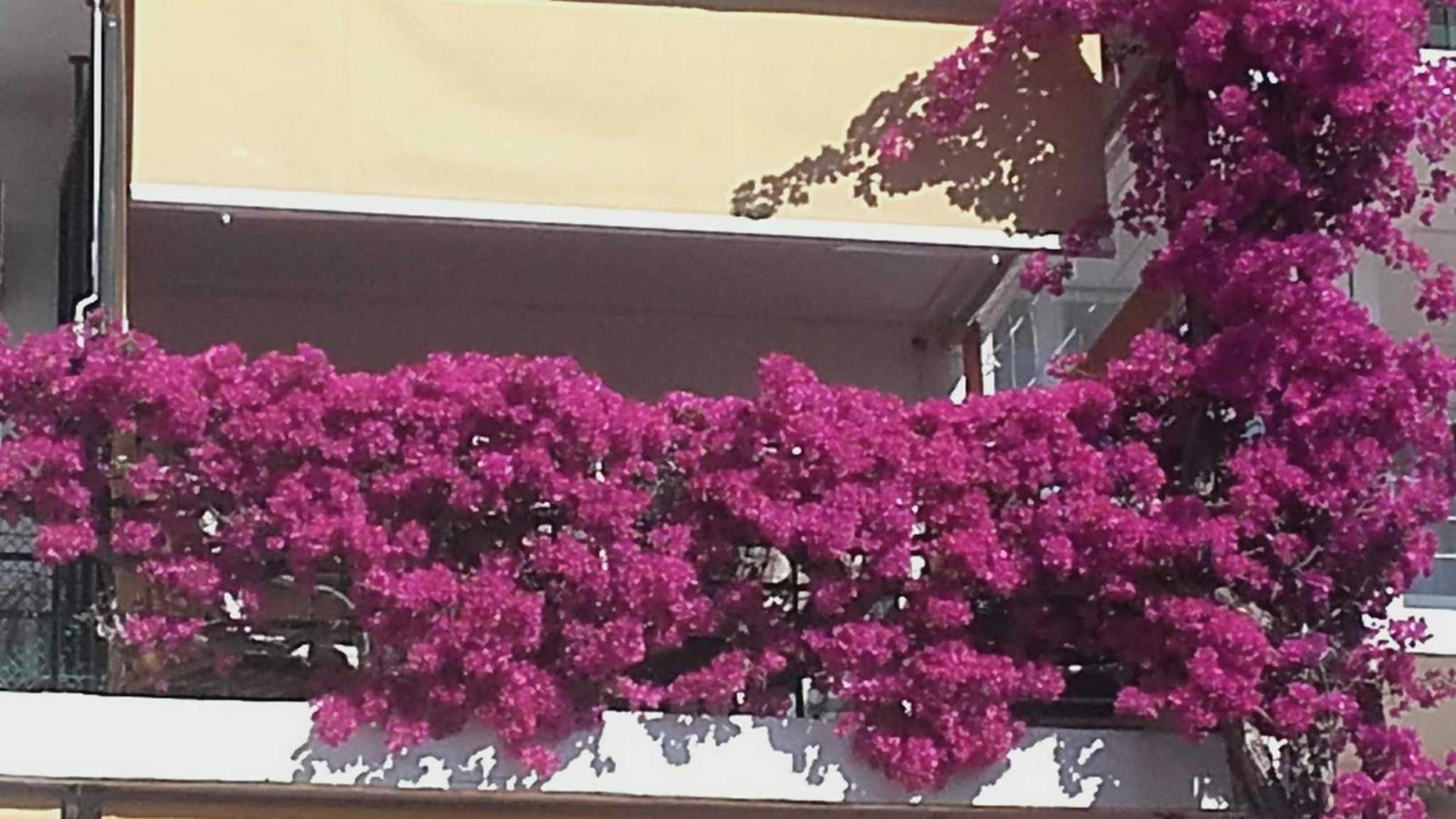 Appartement La Carihuela A 5 Minutos De La Playavistas Al Mar *