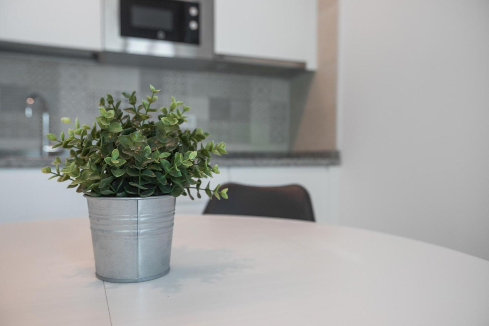 Apartamento Begobe Torremolinos