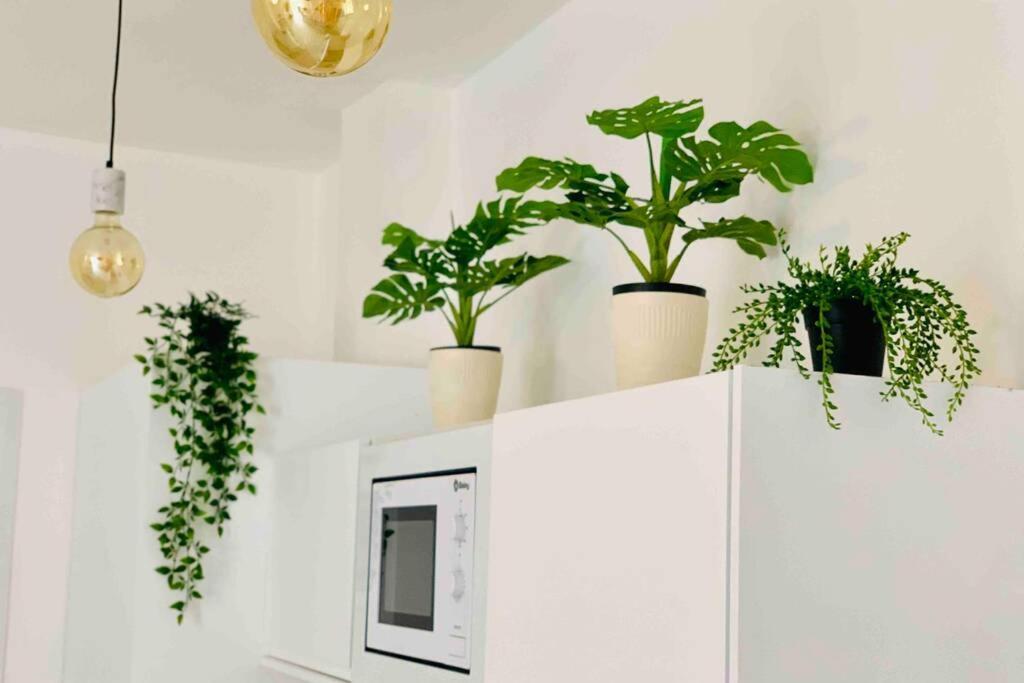 Roof Luxury Center By Namaste Elite Apartamento