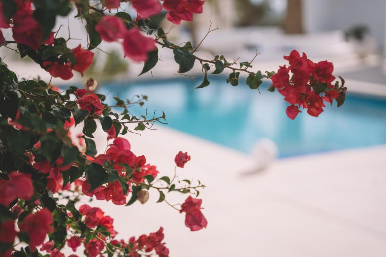 Luxury Mauresque Experience * Torremolinos